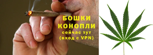 мдпв Бугульма