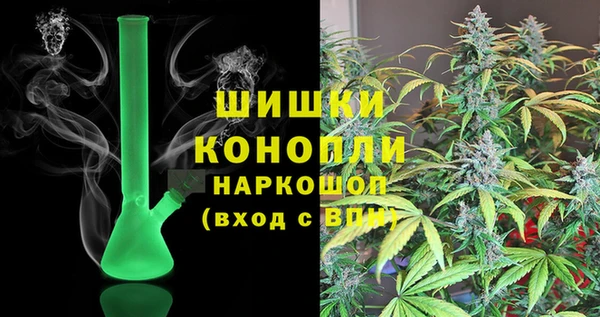 трава Бородино